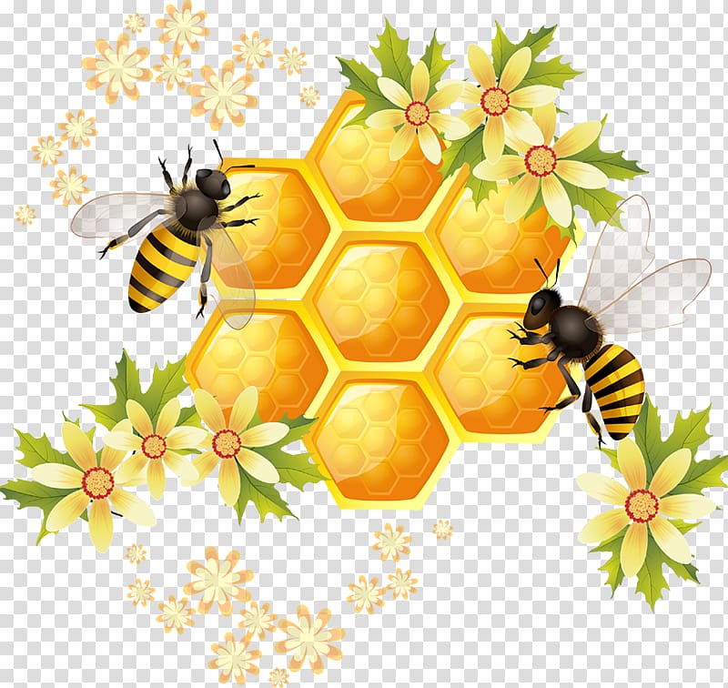 honeycomb surrounded by bees illustration, Honey bee Honeycomb Illustration, bee transparent background PNG clipart