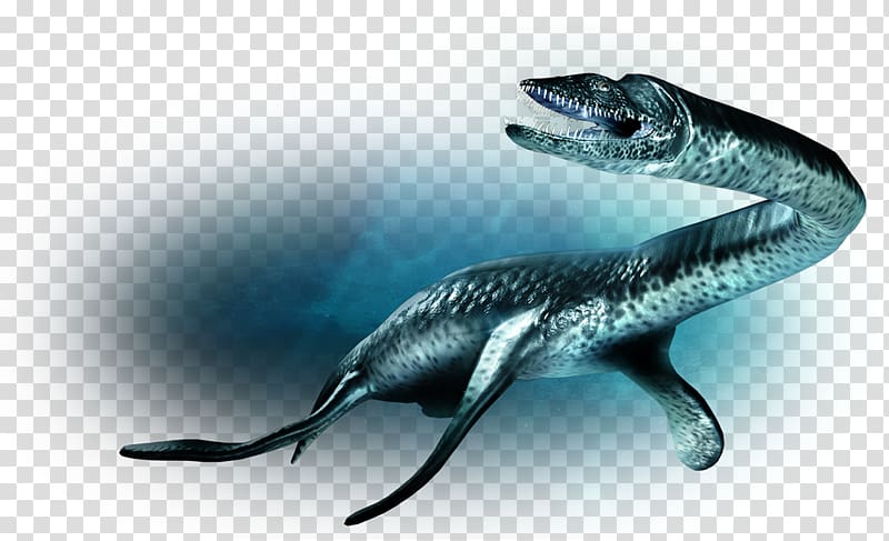 Plesiosaurus Velociraptor Parasaurolophus Liopleurodon Plesiosauria, dinosaur transparent background PNG clipart
