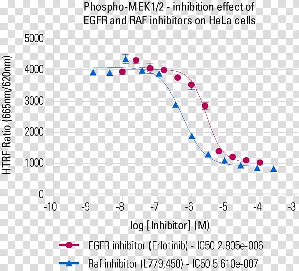 Radioimmunoprecipitation assay buffer Hela Kinase Document, cell culture flask transparent background PNG clipart