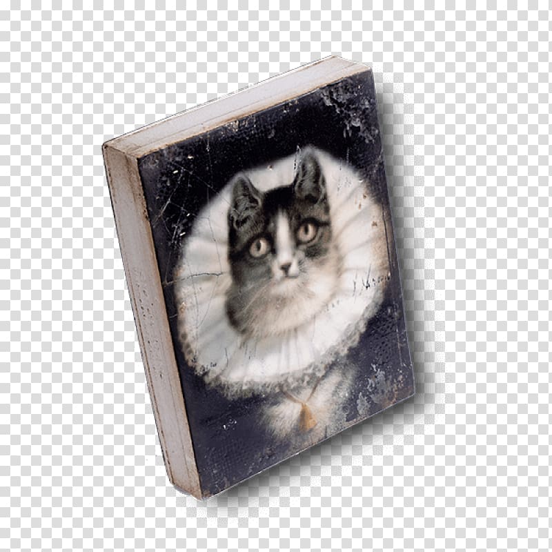 Katzenfreundschaften (4 wunderschöne Katzengeschichten vom Tiervater Alfred Brehm) Cat Whiskers Collage Frames, Cat transparent background PNG clipart