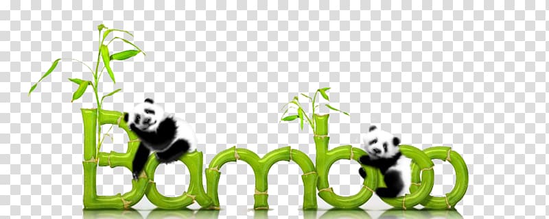 Tropical woody bamboos Giant panda Text Tutorial, Bamboo Textile transparent background PNG clipart
