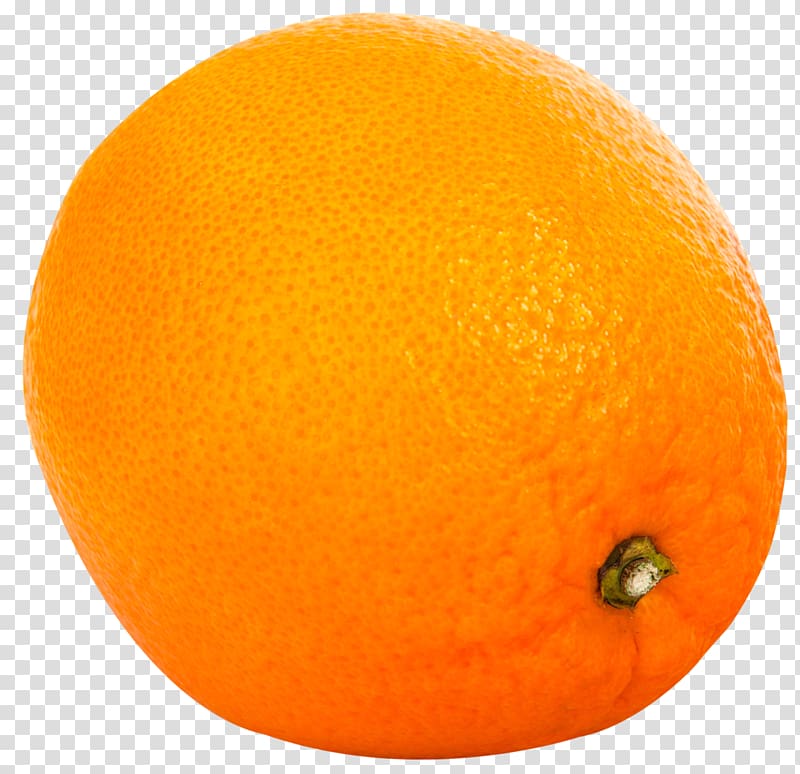 Clementine Grapefruit Tangelo Tangerine Rangpur, Orange Fruit transparent background PNG clipart