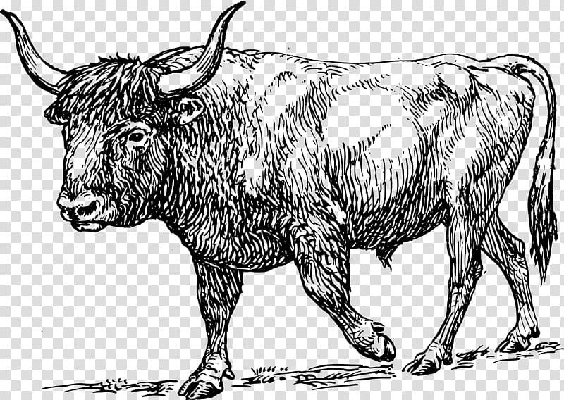 Aurochs Texas Longhorn Bull , paper-cut transparent background PNG clipart
