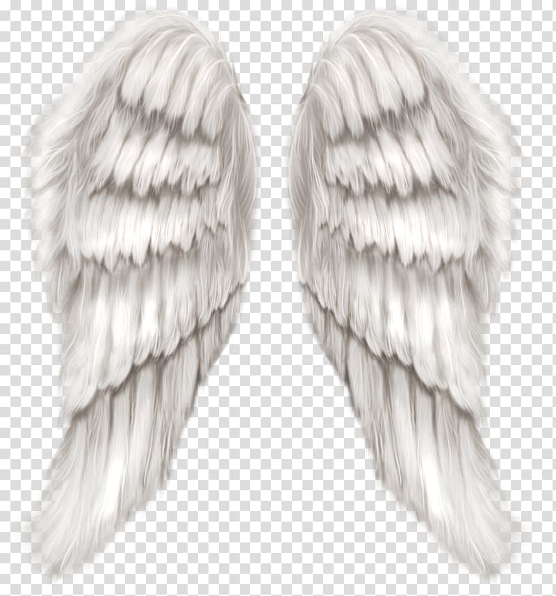Drawing Angel Desktop , wings transparent background PNG clipart