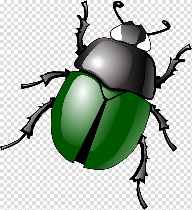 Bugs transparent background PNG clipart