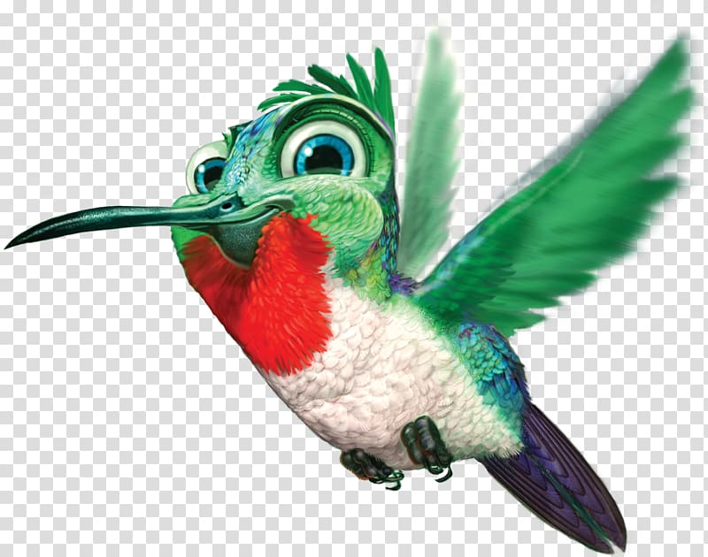 green, white, and red bird, Google Hummingbird , Hummingbird Free transparent background PNG clipart