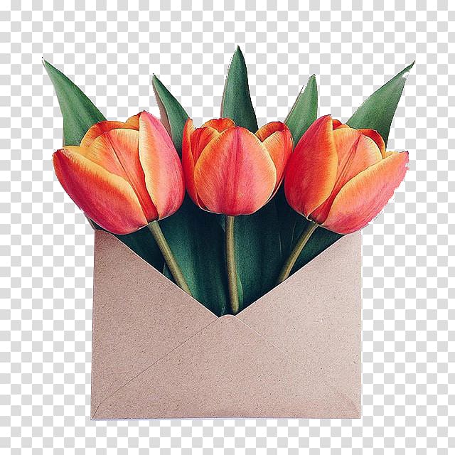 Paper Flower bouquet Envelope Floral design, tulip transparent background PNG clipart