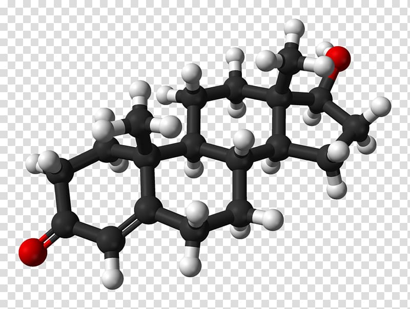Testosterone Molecule Androgen replacement therapy Hypogonadism Male, man transparent background PNG clipart