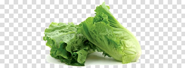 green cabbage, Romaine Lettuce transparent background PNG clipart