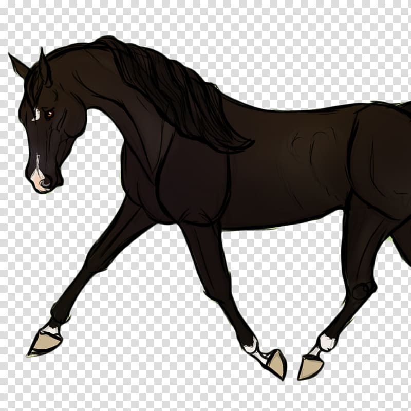 Mustang Dog Foal Stallion Pony, trojan horse transparent background PNG clipart