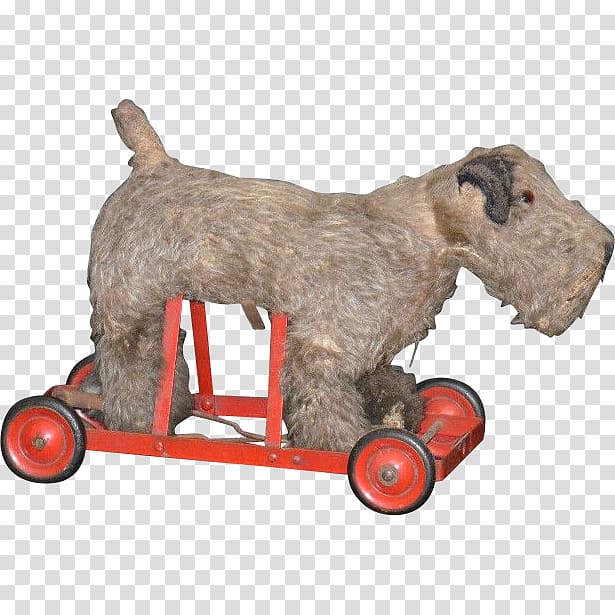 Miniature Schnauzer Schnoodle Lakeland Terrier Puppy Dog breed, puppy transparent background PNG clipart