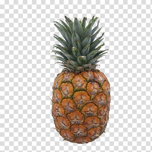 Pineapple Tropical fruit Computer file, pineapple transparent background PNG clipart