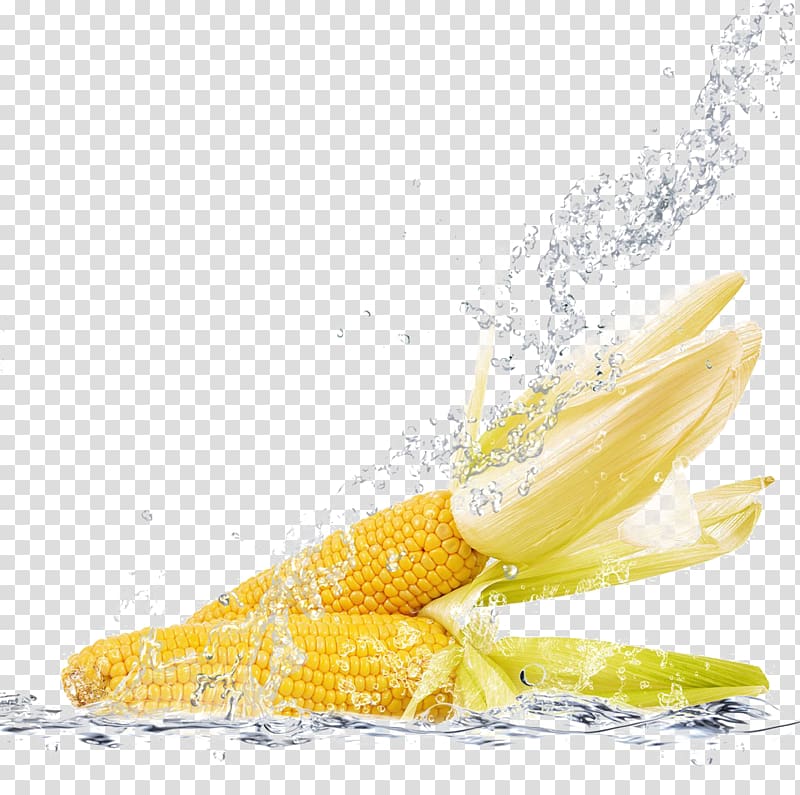 Tea Corn on the cob Vegetable Broccoli Maize, Corn and water transparent background PNG clipart