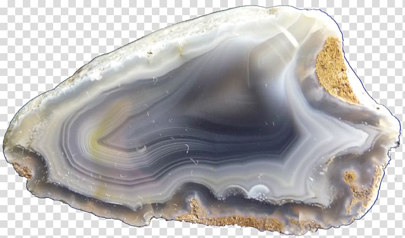 Clam Mineral Jaw, Agate stone transparent background PNG clipart