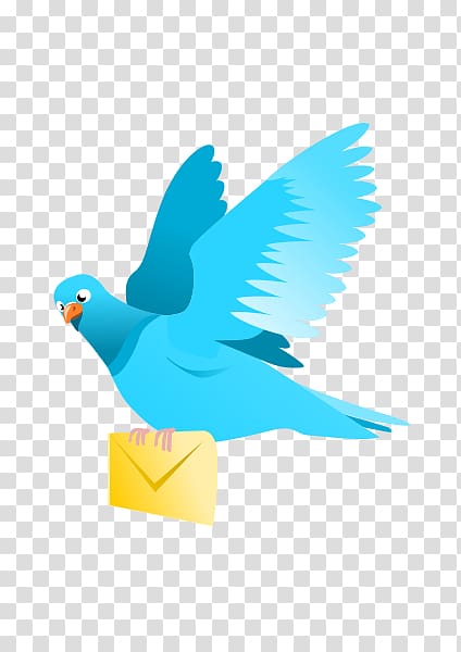Domestic pigeon Flight Bird Columbidae , E-Mail transparent background PNG clipart