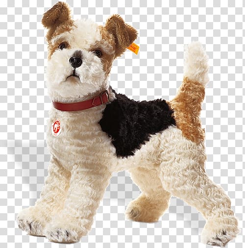 Long haired best sale toy fox terrier