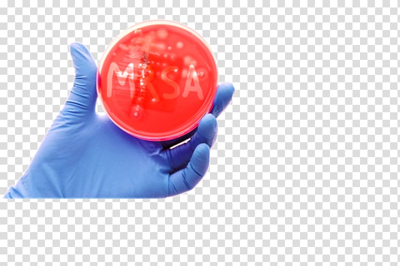 MRSA Super bug Bacteria Multiple drug resistance Skin plastic, Staph Bacteria transparent background PNG clipart