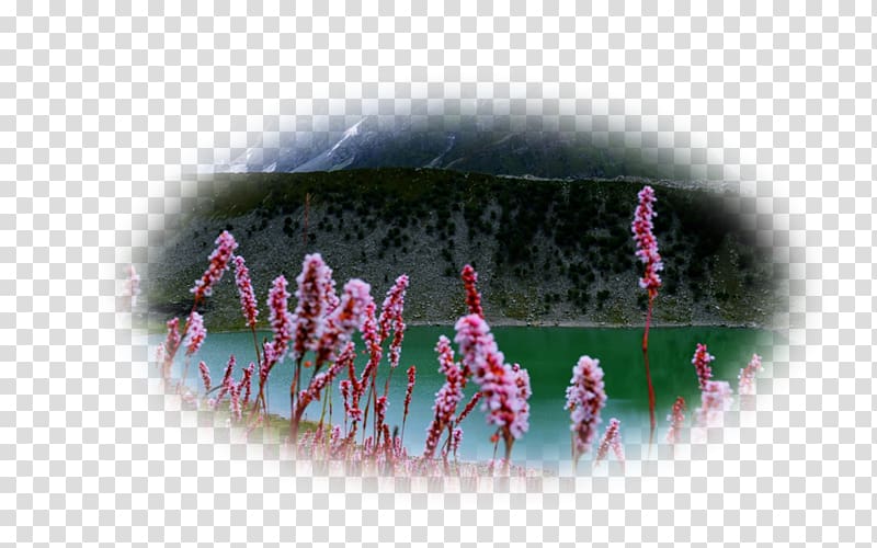 Lake Desktop Spring Mountains Flower Landscape, lake transparent background PNG clipart