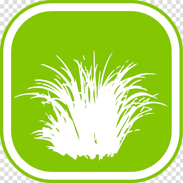 Grasses Illustration Commodity Leaf, almaty transparent background PNG clipart