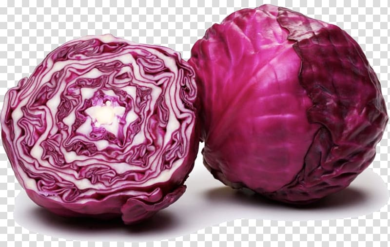 Red cabbage Capitata Group Brussels sprout Mulberry Vegetable, vegetable transparent background PNG clipart