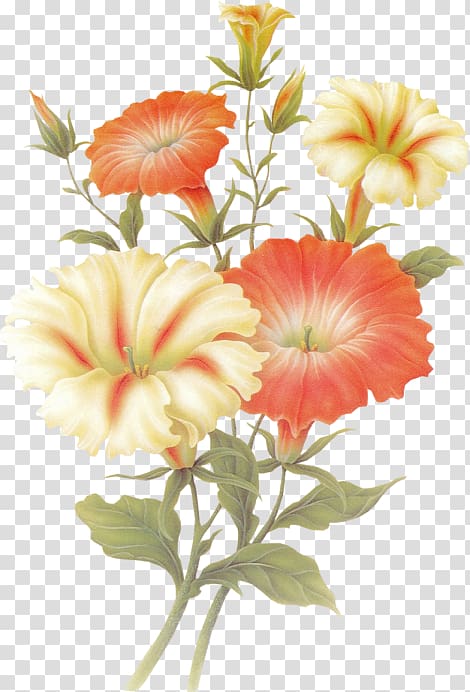 Orkut Floral design Flower Love Spring, flower transparent background PNG clipart