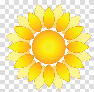 Blog , yellow circle transparent background PNG clipart thumbnail