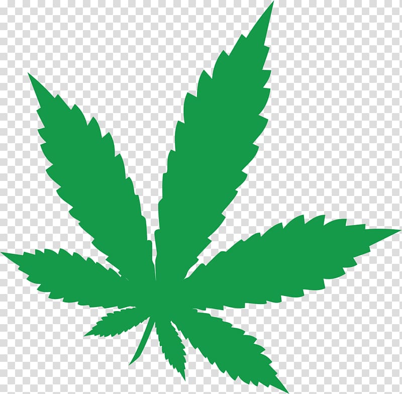 Cannabis sativa Leaf Cannabaceae , cannabis transparent background PNG ...