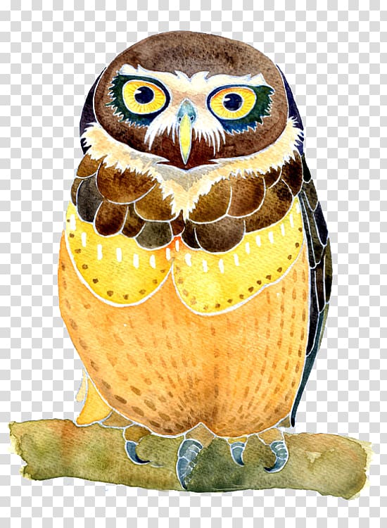 Owl Watercolor painting Illustration, owl transparent background PNG clipart