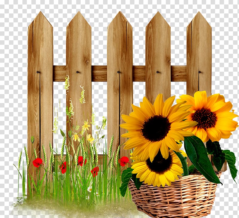 yellow sunflowers on brown wicker basket, Fence Gate Flower garden , Fences transparent background PNG clipart