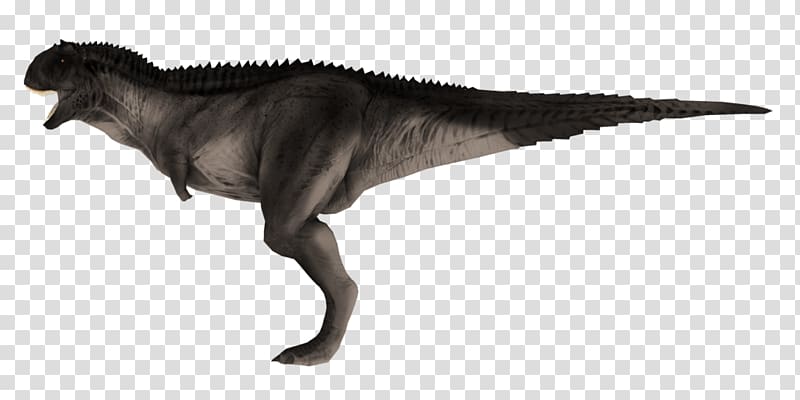 Tyrannosaurus Acrocanthosaurus Carnotaurus Eocarcharia Zoo Tycoon 2, dinosaur transparent background PNG clipart