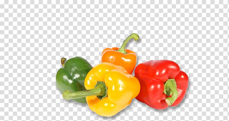 Paprika Stuffed peppers Bell pepper Chili pepper Vegetable, vegetable transparent background PNG clipart