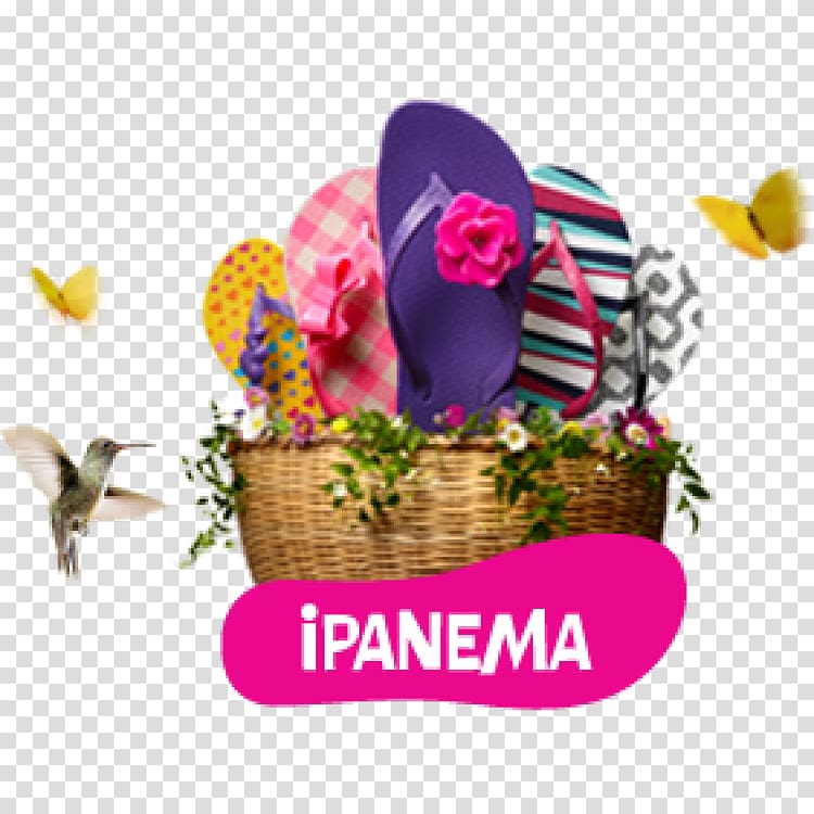 2013 Rock in Rio Food Gift Baskets Rio de Janeiro Hamper Brazilian Institute of Environment and Renewable Natural Resources, ipanema transparent background PNG clipart