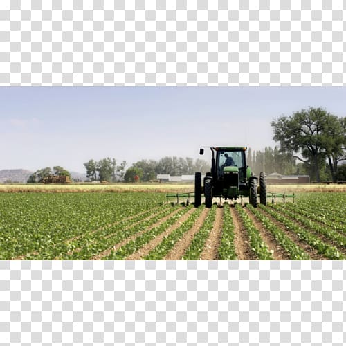 Agriculture Farmer Field Organic farming, taobao real shot transparent background PNG clipart