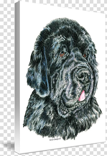 Flat-Coated Retriever Newfoundland dog Puppy Giant dog breed, Newfoundland Dog transparent background PNG clipart