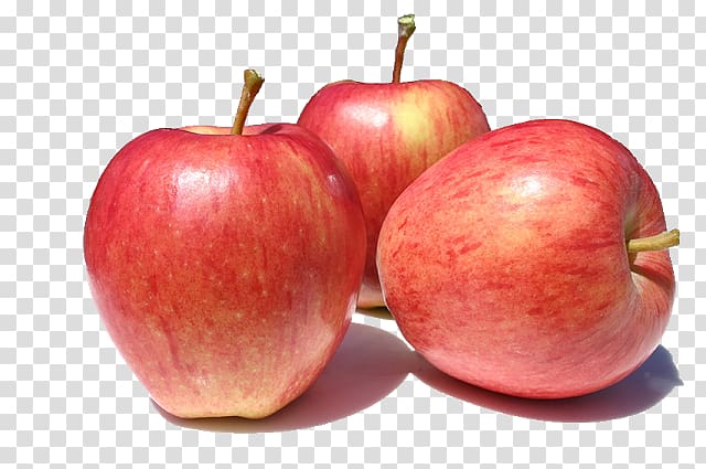 Organic food Gala Apple Fuji Fruit, apple transparent background PNG clipart