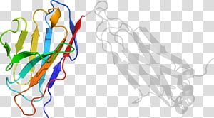 Line Point Organism , line transparent background PNG clipart thumbnail
