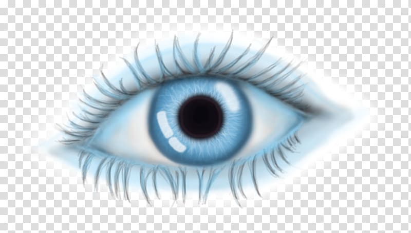 Eyebrow Iris Retina Organ, it's a girl transparent background PNG clipart