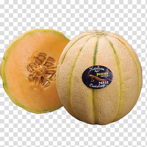 Honeydew Cantaloupe Galia melon Cucurbita, hami melon transparent background PNG clipart