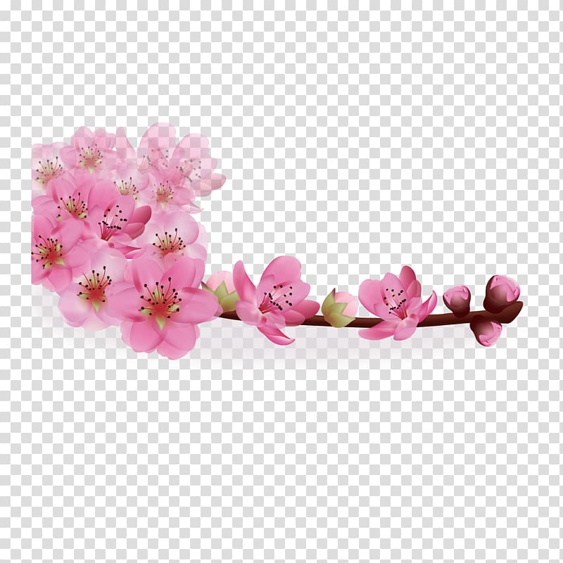 Flower Greeting card Gift, Japanese cherry blossoms in full bloom transparent background PNG clipart