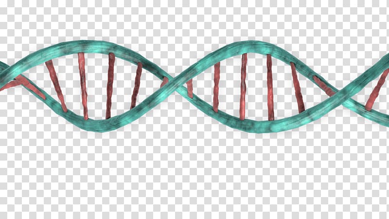 DNA Three-dimensional space , others transparent background PNG clipart