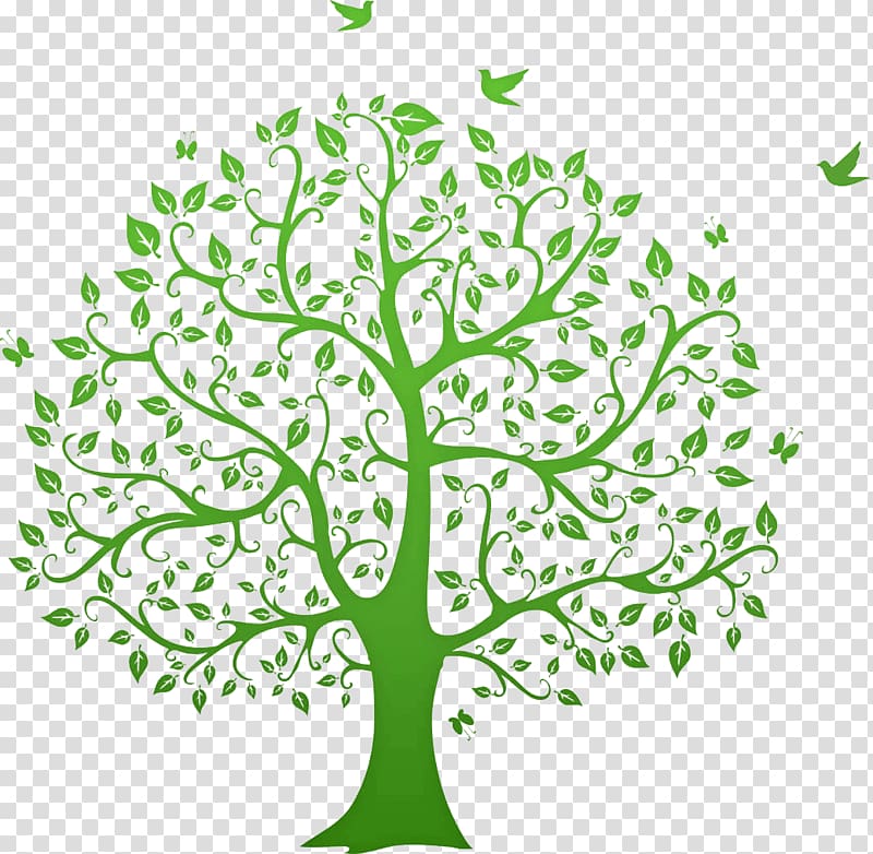 Genealogy graphics Family tree Open, Family transparent background PNG clipart