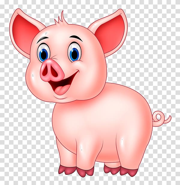 Domestic pig Piglet, pig transparent background PNG clipart