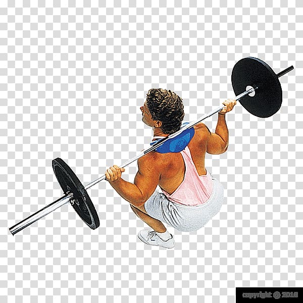 Squat Barbell Shoulder Trapezius Exercise, gym squats transparent background PNG clipart