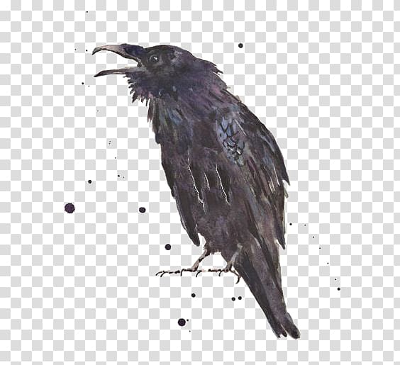 black crow , Common raven The Raven Art Printmaking, Ink crow transparent background PNG clipart