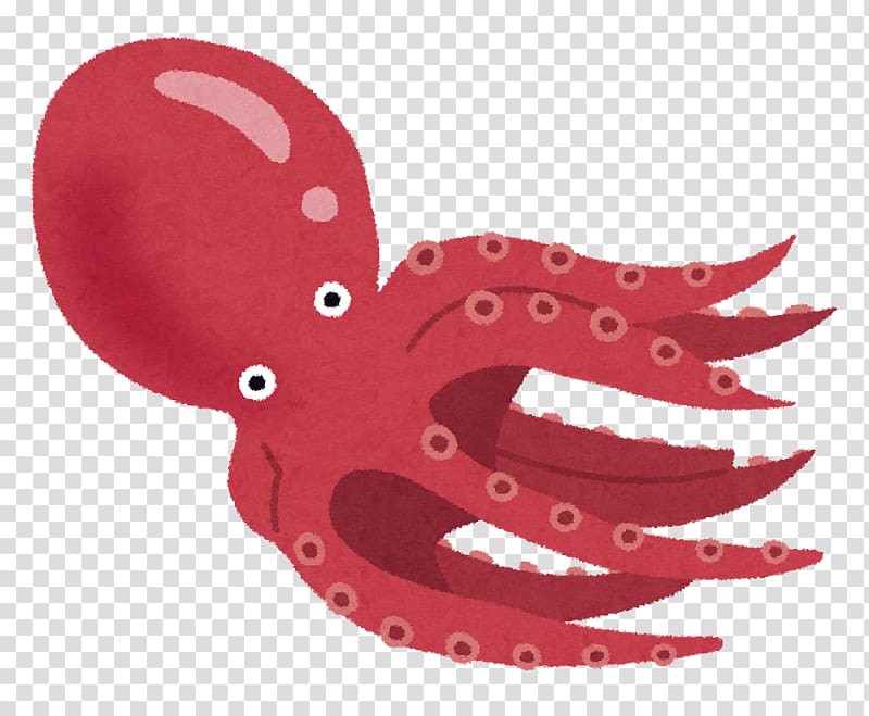 Octopus Squid Ikizukuri エギング (株)ハウスウェーブ, Tako transparent background PNG clipart