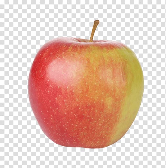 Apple Jonagold Food Maribelle Accessory fruit, apple transparent background PNG clipart
