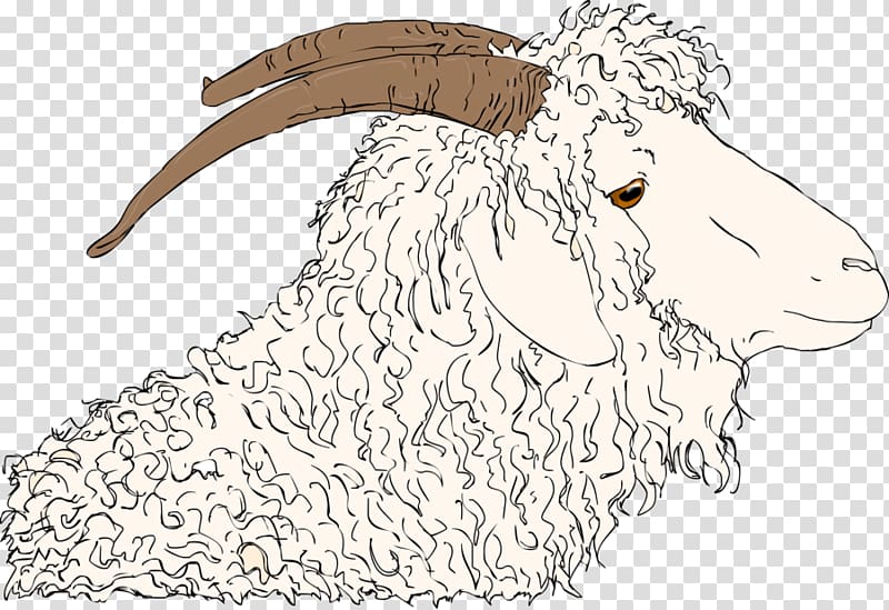 Sheep Angora goat Cattle Mohair Angora wool, angora goat transparent background PNG clipart