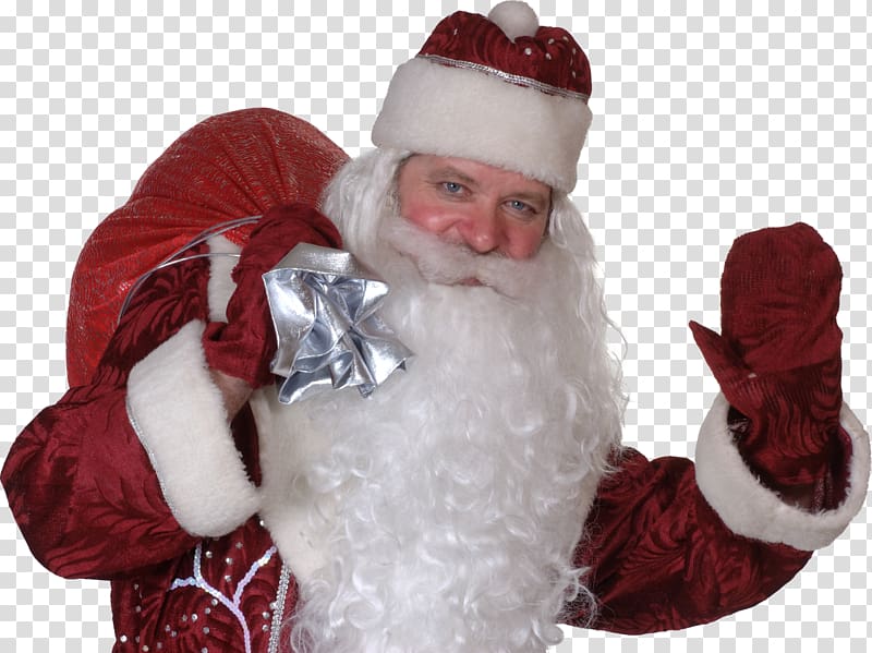 Ded Moroz Snegurochka Santa Claus grandfather Ziuzia, sant claus transparent background PNG clipart