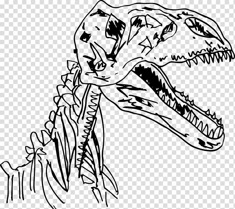 Velociraptor Dinosaur Fossils Dinosaur Fossils , dinosaur transparent background PNG clipart