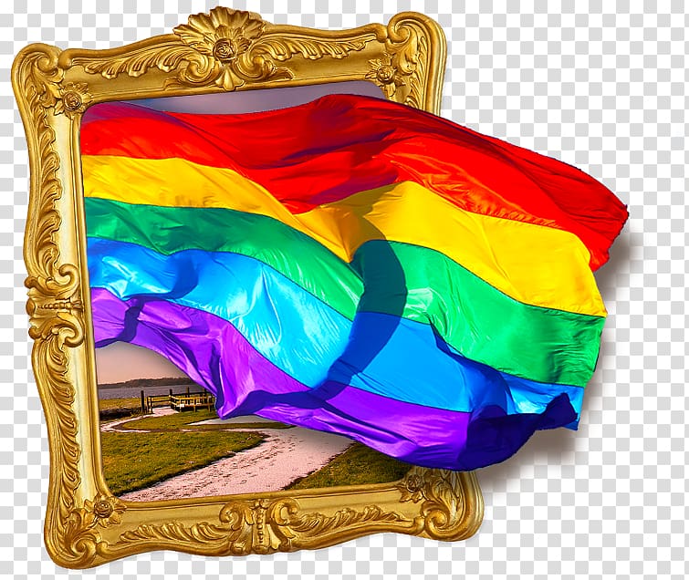 LGBT COC Nederland De Fryske Homosexuality Lesbian, coc transparent background PNG clipart